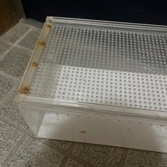 爬虫類ゲージの画像