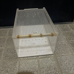 爬虫類ゲージの画像