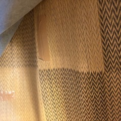 ニトリ　い草上敷きの画像