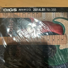 月刊GIGS 2014.01.  no.388の画像