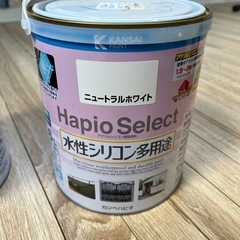 ♦︎⑥新品 ペンキ 塗料の画像