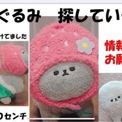 落とし物　ぬいぐるみ探しています！