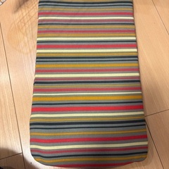 イタリア製ペットキャリー　ペット用ケージ、キャリーケース　頑丈、良品の画像