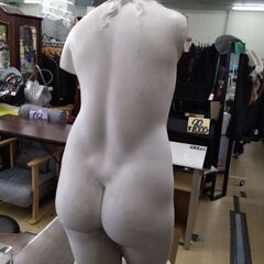 定価数十万円　美術　デッサン　石膏像　トルソー　裸体　マネキン人形　オブジェ　絵画の画像