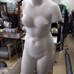 定価数十万円　美術　デッサン　石膏像　トルソー　裸体　マネキン人形　オブジェ　絵画の画像