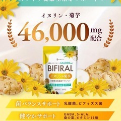 【新品】【上質な食物繊維たっぷり配合】ビフィラル イヌリン & 菊芋 30日分の画像