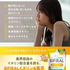 【新品】【上質な食物繊維たっぷり配合】ビフィラル イヌリン & 菊芋 30日分の画像