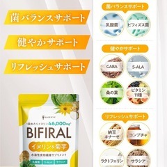 【新品】【上質な食物繊維たっぷり配合】ビフィラル イヌリン & 菊芋 30日分の画像