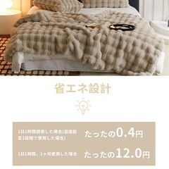 【99％電磁波カット】 ふわとろ毛布 電気毛布 掛け敷き兼用 大判サイズの画像