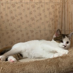 コロンとかわいい🍩ナッツくん💕