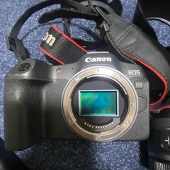 Canon EOS R8 RF75-300mm F4-5.6 RF50 F1.8 STMの画像