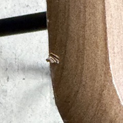 折りたたみテーブルの画像