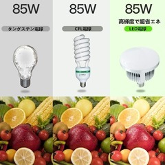 ソフトボックス 50x70cm 遠隔操作 3色ライト　2800K-6000Kの画像