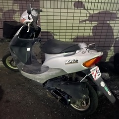 ライブディオ✨他在庫多数飛込見学大歓迎の画像