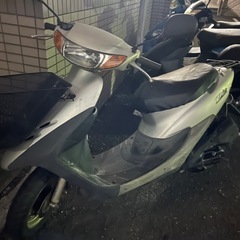 ライブディオ✨他在庫多数飛込見学大歓迎の画像