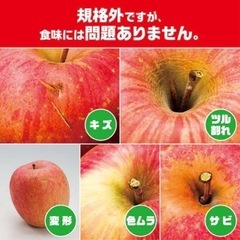 訳あり品　蜜入り藤りんご🍎10キロの画像