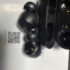 final ZE3000 SV ワイヤレスイヤホンの画像