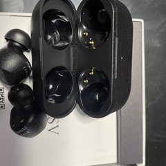 final ZE3000 SV ワイヤレスイヤホンの画像