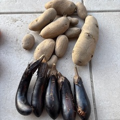 決まりました【訳あり】野菜、柿の画像