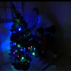 クリスマスツリーの画像