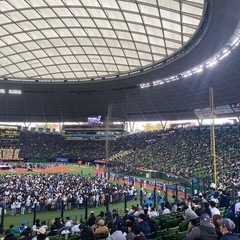 西武ライオンズ観戦グループメンバー募集 - 所沢市