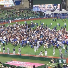 西武ライオンズ観戦グループメンバー募集 − 埼玉県