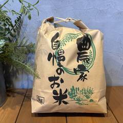 新米 米 コメ 令和７年度産 キヌヒカリ 生産農家 精米 10キ...