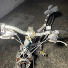 ルイガノ LGS-TR1 訳あり　ボロボロの画像