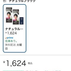 【未開封】LUCIDO(ルシード)【医薬部外品】ワンプッシュケアカラー ナチュラルブラック メンズ用 ショートヘア約4回分 サンプル付+白髪染め セット 2個 (x 1)の画像