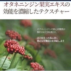 訳アリ大特価✴️ 豪華 ピョンガンユル ブラックティー 3点セット 新品未使用品✨の画像