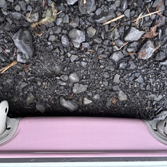 キャリーバッグの画像