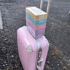 キャリーバッグの画像