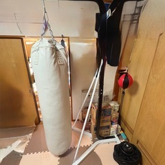 BODY DESIGN サンドバッグ ボクシング　キックボクシング　 の画像
