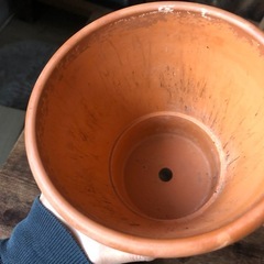 ドイツ製テラコッタ植木鉢の画像