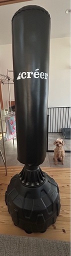 ボクシングセット