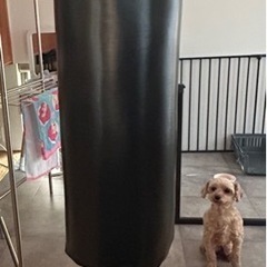 ボクシングセット