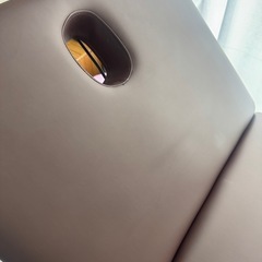 【電動✨】エステベット　本日最終の画像