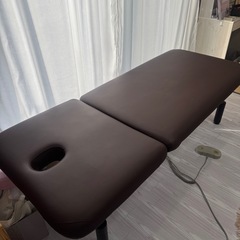 【電動✨】エステベット　本日最終の画像