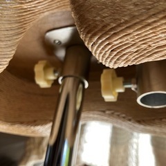 ⭐️無料⭐️トルソー　12月処分の画像