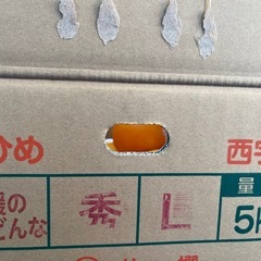 愛媛まどんなの画像