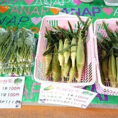 限定10袋🥬ほうれん草1袋💴100円で販売いたします✨今日、明日の2日間！！の画像