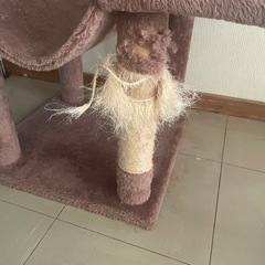 キャットタワーの画像