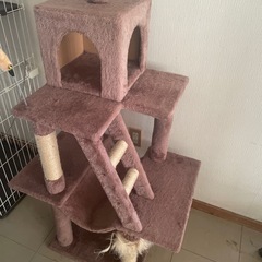 キャットタワーの画像