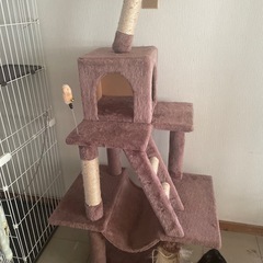 キャットタワーの画像