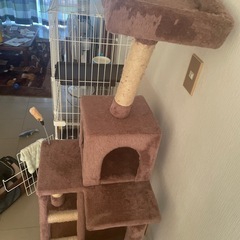 キャットタワーの画像