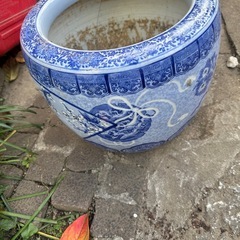 鉢植えなどの画像