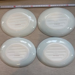 中皿　睡蓮　葉　まとめの画像