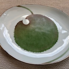 中皿　睡蓮　葉　まとめの画像