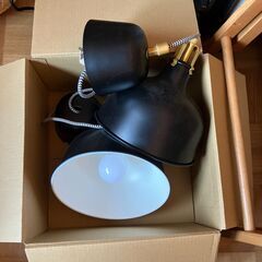 【二つセット】IKEA RANARP ラーナルプ ペンダントランプ,の画像