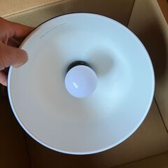 【二つセット】IKEA RANARP ラーナルプ ペンダントランプ,の画像